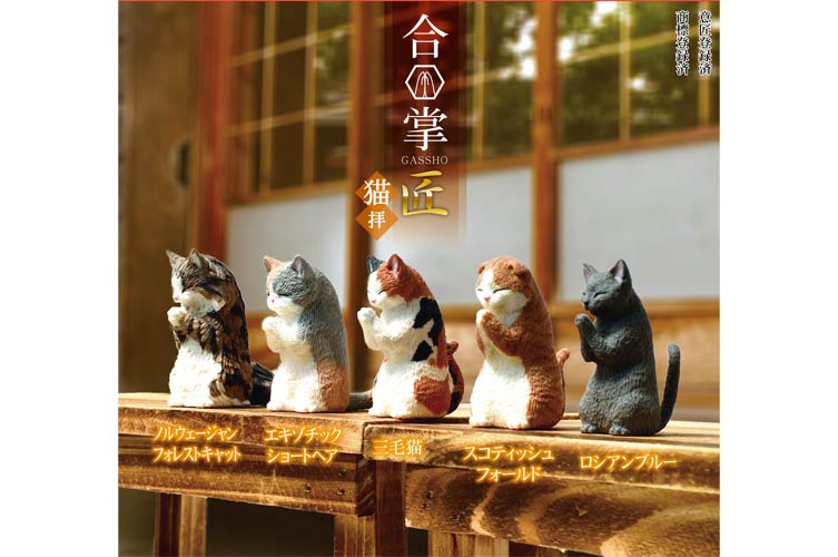 合掌　匠～猫拝～