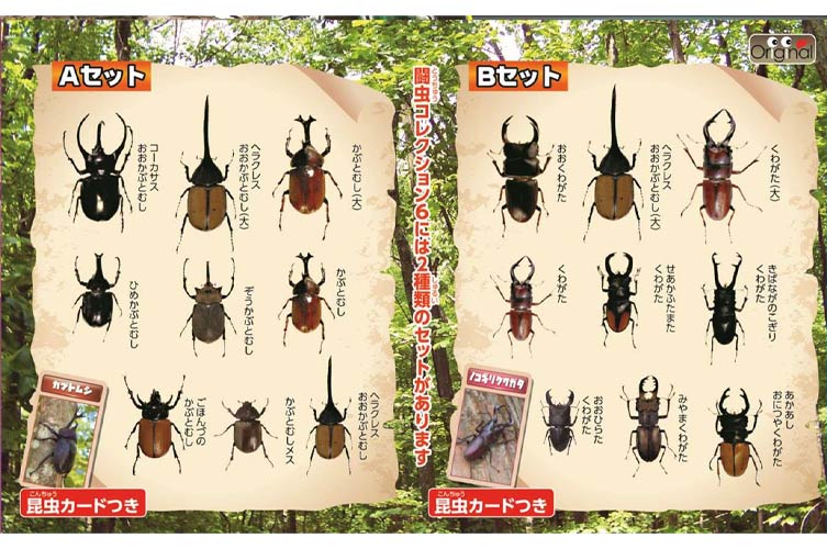 闘虫コレクション６