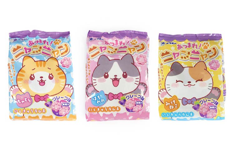 あつまれニャンニャン